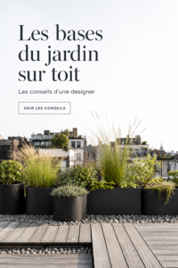 Jardin sur le toit luxuriant avec différentes plantes vertes et une vue urbaine.