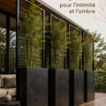Jardin paisible avec des plantes offrant de l'ombre et une ambiance intime, parfait pour se détendre.