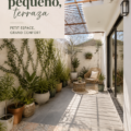 Aménagement d'un petit patio accueillant avec des plantes et des meubles confortables