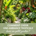 Un petit jardin bien aménagé avec des plantes tropicales vibrantes et colorées.