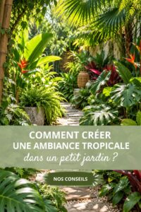 Un petit jardin bien aménagé avec des plantes tropicales vibrantes et colorées.